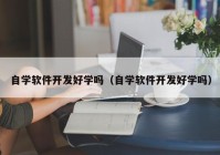 自学软件开发好学吗（自学软件开发好学吗）