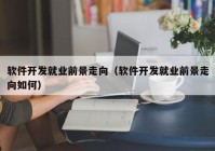 软件开发就业前景走向（软件开发就业前景走向如何）