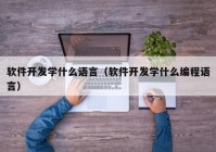 软件开发学什么语言（软件开发学什么编程语言）