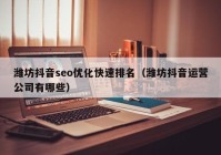 潍坊抖音seo优化快速排名（潍坊抖音运营公司有哪些）