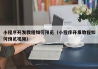 小程序开发教程如何预览（小程序开发教程如何预览视频）