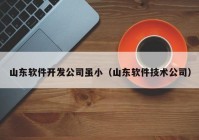 山东软件开发公司虽小（山东软件技术公司）