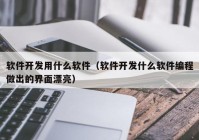 软件开发用什么软件（软件开发什么软件编程做出的界面漂亮）