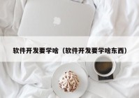 软件开发要学啥（软件开发要学啥东西）