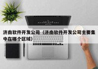 济南软件开发公司（济南软件开发公司主要集中在哪个区域）