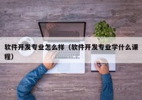 软件开发专业怎么样（软件开发专业学什么课程）