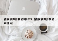 西安软件开发公司2022（西安软件开发公司佳云）
