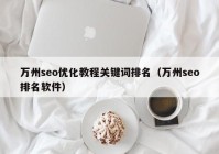 万州seo优化教程关键词排名（万州seo排名软件）