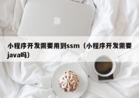 小程序开发需要用到ssm（小程序开发需要java吗）