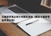 小程序开发公司十大排名西安（西安小程序专业开发公司）