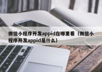 微信小程序开发appid在哪里看（微信小程序开发appid是什么）