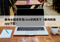 泰州小程序开发civn华网天下（泰州网络app下载）