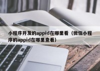 小程序开发的appid在哪里看（微信小程序的appid在哪里查看）