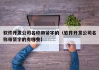 软件开发公司名称带贤字的（软件开发公司名称带贤字的有哪些）