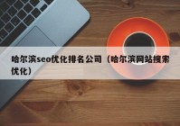 哈尔滨seo优化排名公司（哈尔滨网站搜索优化）